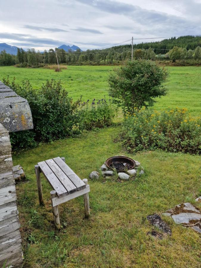 Warm And Cozy Cottage, Great Location Kvaloya Kültér fotó