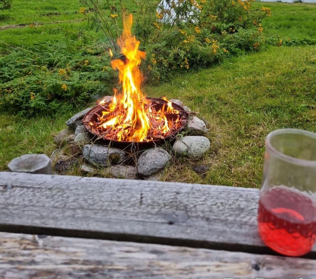Warm And Cozy Cottage, Great Location Kvaloya Kültér fotó