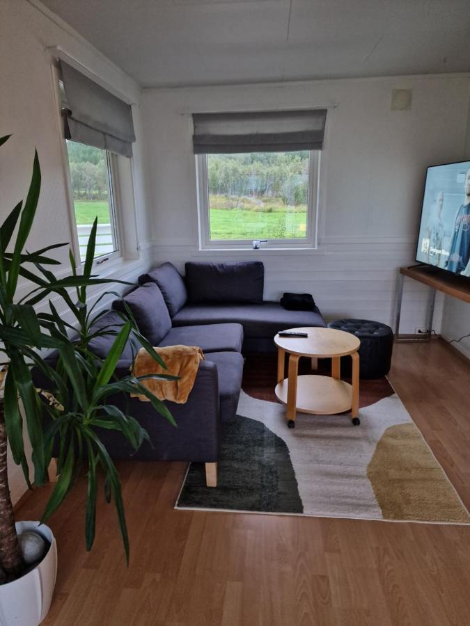 Warm And Cozy Cottage, Great Location Kvaloya Kültér fotó